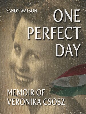 cover image of One Perfect Day